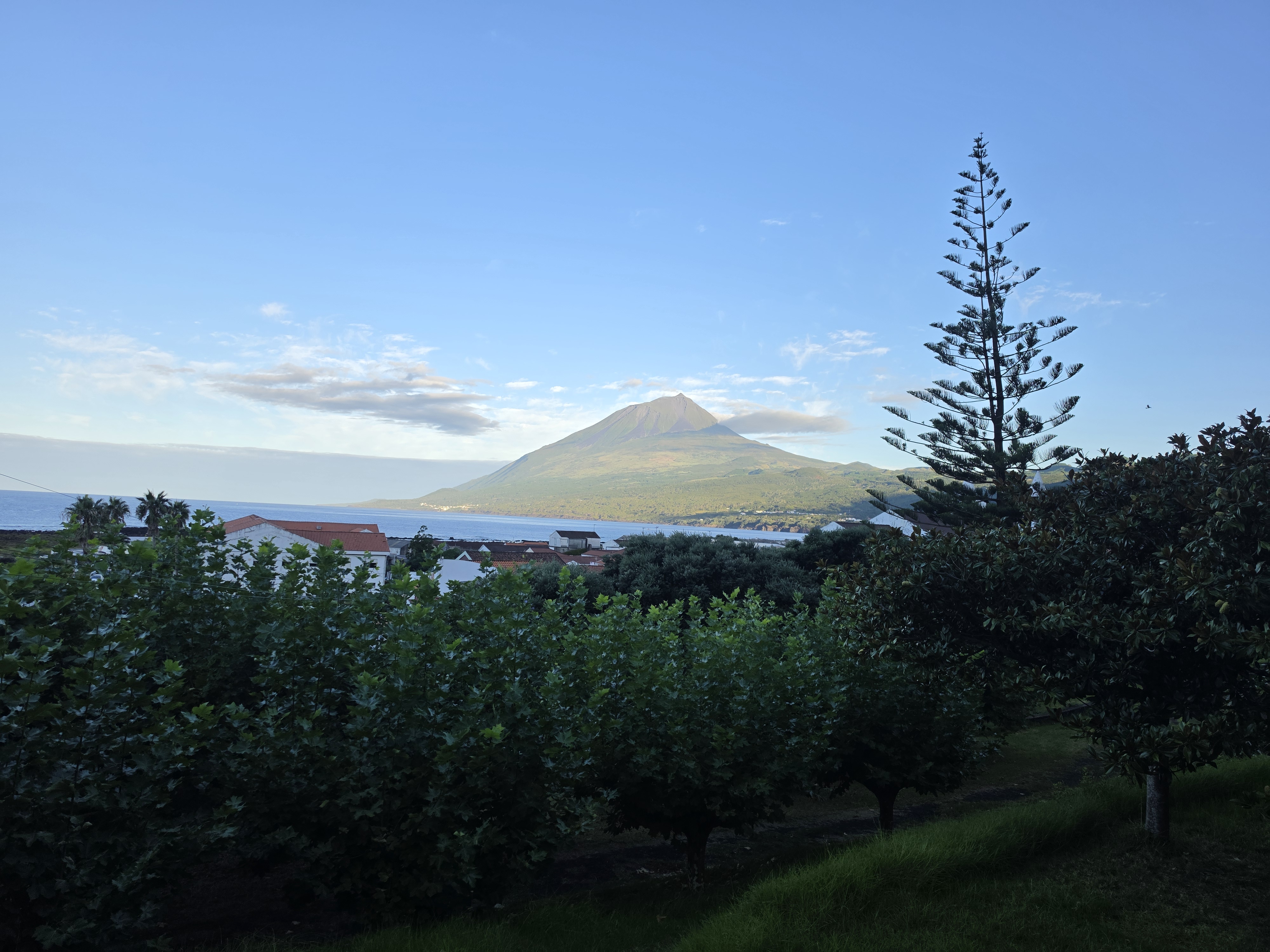 Mount Pico from Campsite