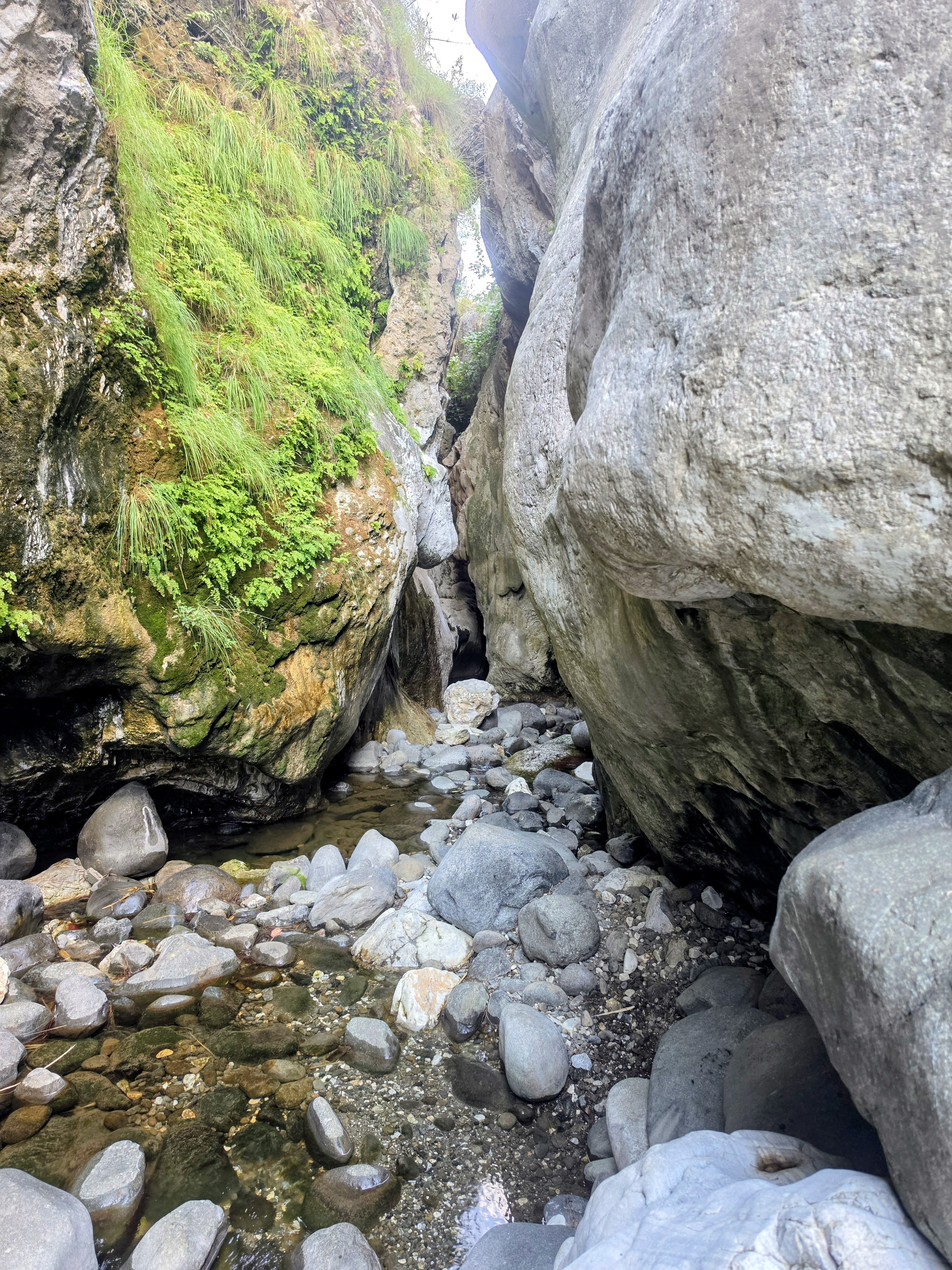 Rocky River Path
