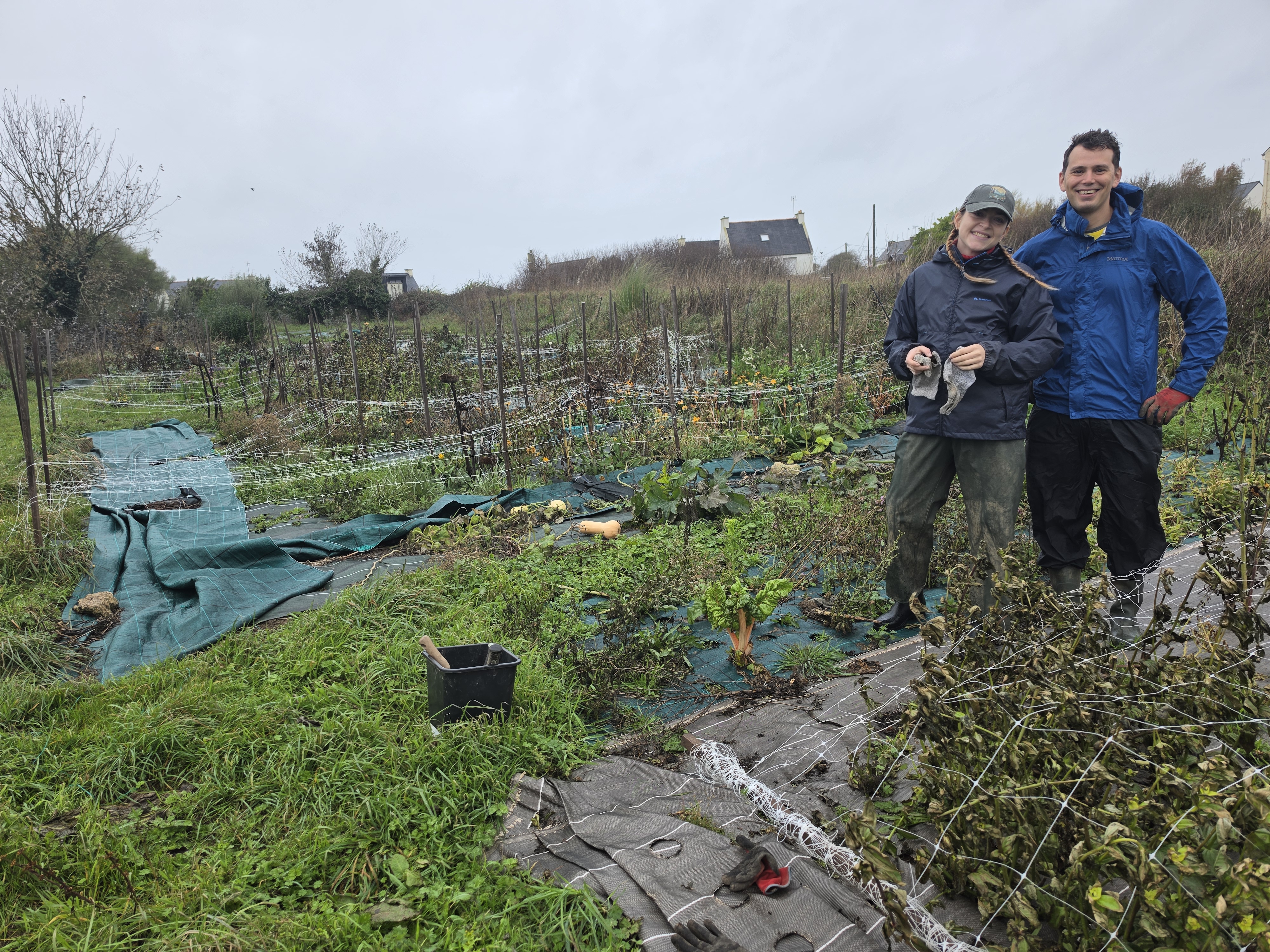 Before Weeding
